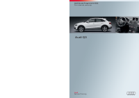 SSP 602 Audi Q3-5